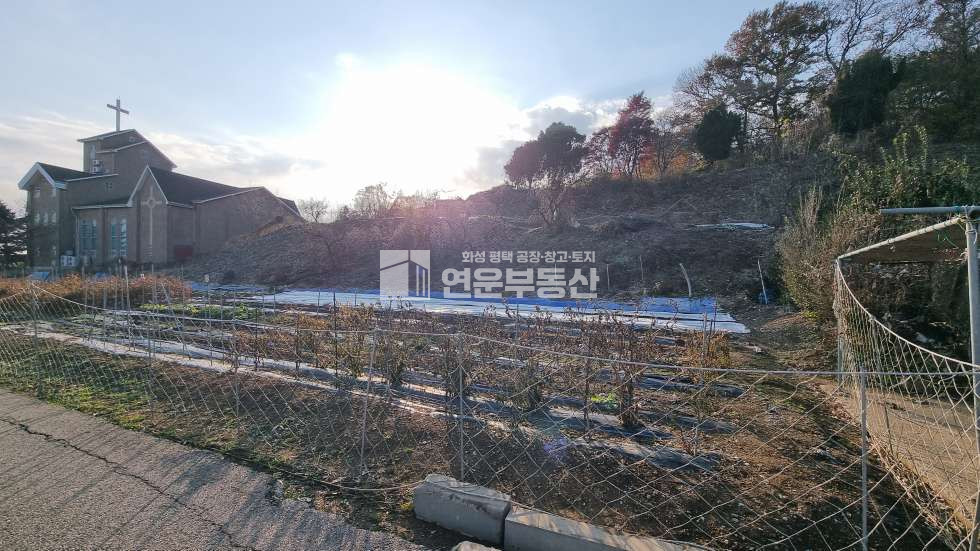 경기 화성만세구 서신면 광평리 계획관리지역 (전) 매매 매물번호 10235 사진 1